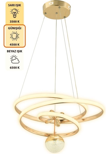 Lorenz Kumandalı 3 Renk Işık Özellikli Modern Gold Kaplama Sarkıt LED Avize Salon Avize