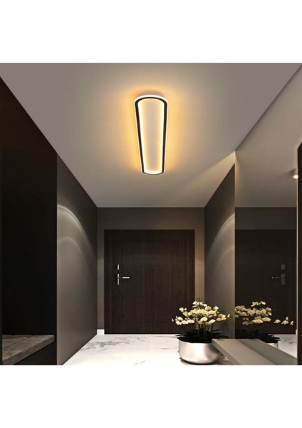 Antrasit Oval 120 x 16 cm Kumandalı,dimli 3 Işık Rengi, LED Tavan Lambası, Avize, Modern Aydınlatma