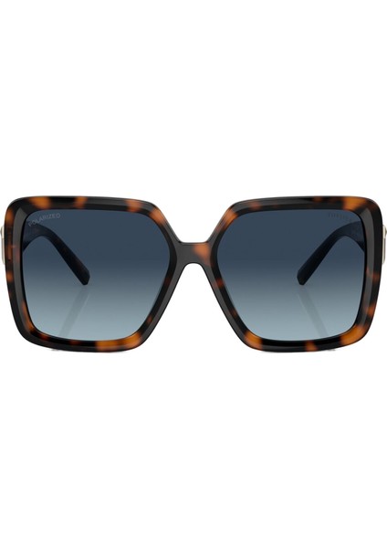 Kadın Güneş Gözlüğü 0TF4206U5880154U