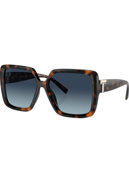 Kadın Güneş Gözlüğü 0TF4206U5880154U fiyatları