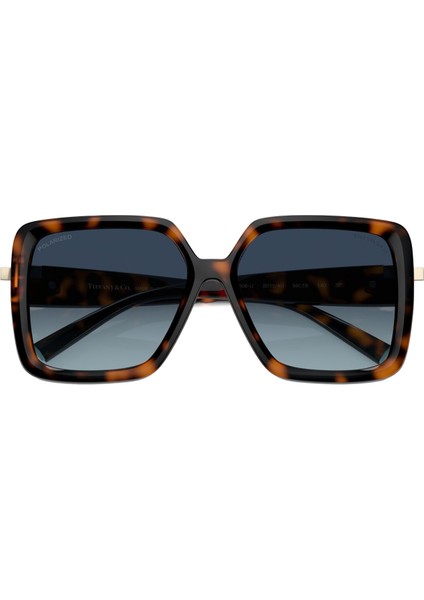 Kadın Güneş Gözlüğü 0TF4206U5880154U modelleri