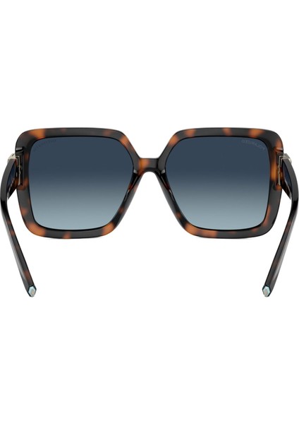 Kadın Güneş Gözlüğü 0TF4206U5880154U indirimleri