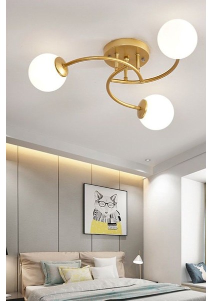Theia Modern Üçlü Camlı Avize