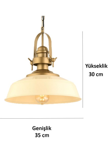 Şık Sarkıt Avize, Modern Tasarım, Metal Malzeme, 28x30 Boyut, Krem Renk modelleri