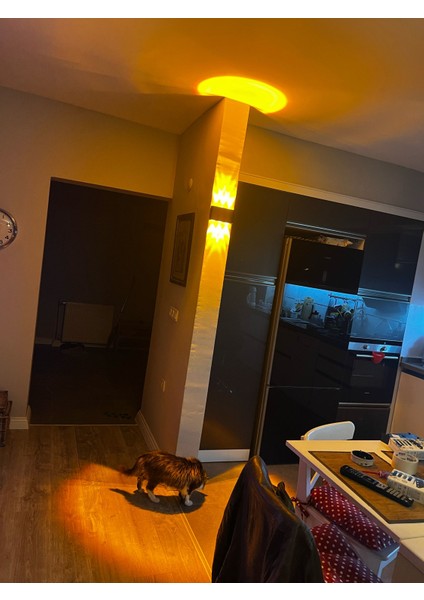 12 Watt Amber Işık Ledli, Elektrikle Çalışır, Bahçe - Villa Duvar Aydınlatma Armatürü, Amber Aplik indirimleri