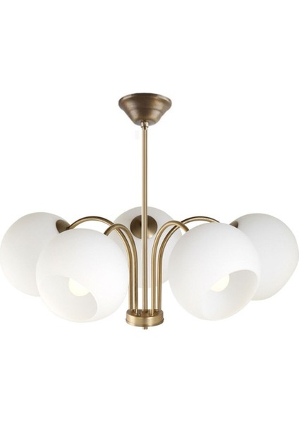 Modern beyaz camlı 5’li avize, salon, mutfak, yatak odası için şık aydınlatma.