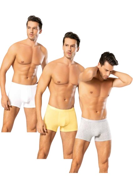 Looksense Erkek Dude 3lü Ince Bel Lastikli Likralı Boxer 12003