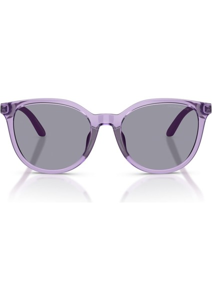 Emporıo Armanı 4007U 628080 49-17 Kadın Güneş Gözlüğü