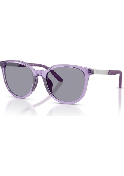 Emporıo Armanı 4007U 628080 49-17 Kadın Güneş Gözlüğü modelleri