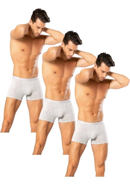 Looksense Erkek Dude 3lü Ince Bel Lastikli Likralı Boxer 12003