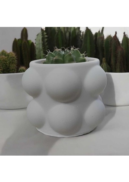 Buble Saksı Beton Kaktüs Saksısı Dekoratif 2li Set