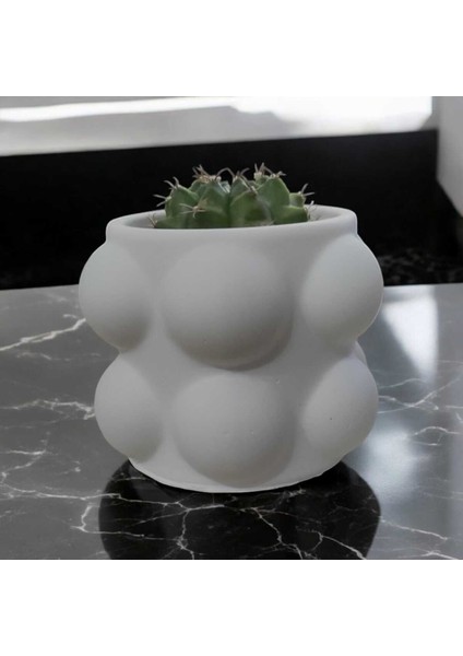 Buble Saksı Beton Kaktüs Saksısı Dekoratif 2li Set fiyatları