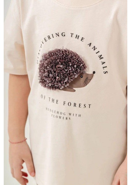 Kirpi Tüllü Işleme Detay Tayt Şort Alt Üst Takım fiyatları