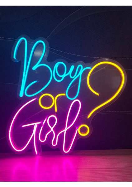 Neon LED Dekoratif Aydınlatma -Boy Or Girl, 50X45CM-