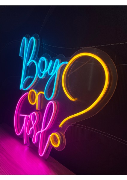 Neon LED Dekoratif Aydınlatma -Boy Or Girl, 50X45CM-