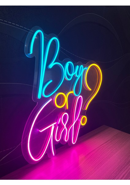 Neon LED Dekoratif Aydınlatma -Boy Or Girl, 50X45CM-
