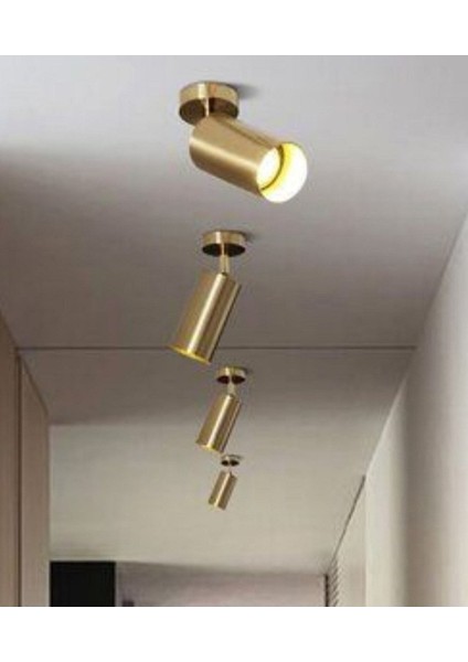 Mylights 1 Adet Fiyatı LED Aplik LED Spot LED Avize Eskitme Hareketli Gün Işı Ampullü