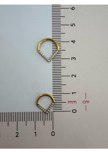 G23 Titanium (Titanyum) Zirkon Taşlı Üçgen Model Septum Daith Uyumlu 1 Adet Piercing fırsatları