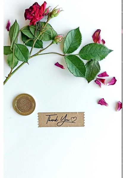 Thank You Etiket / 144 Adet Kraft Bant Etiket (1,8 x 5.5 Cm)