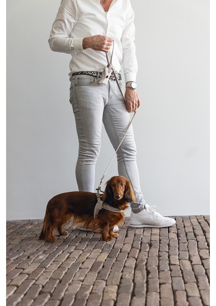 Dbl Köpek Göğüs Tasması, Velur, Gri, S, 20MM x 52CM