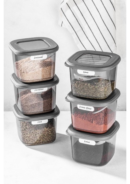 6'lı Kare Saklama Kabı Seti, 0,55 L, Antrasit, Kaşıkli, Plastik, Gri fırsatları