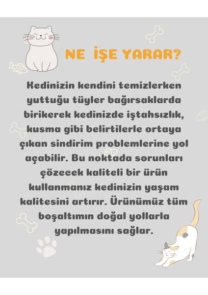 Antihairball Tüy Yumağı Önleyici Kedi Maltı 100GR fiyatları
