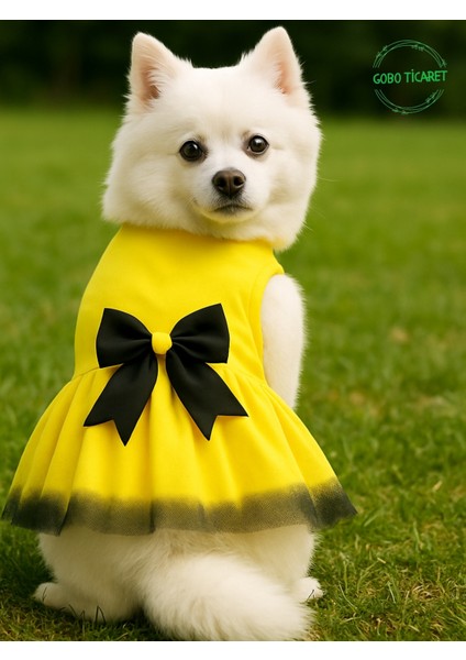 Siyah Papyonlu Sarı Tüllü Kedi Köpek Kıyafeti Elbisesi