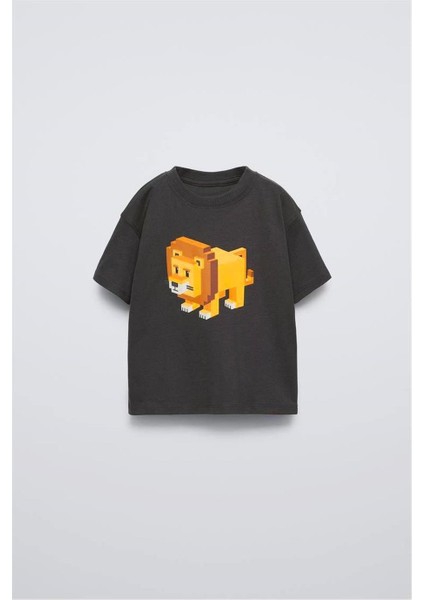 Erkek Çocuk Aslan 3 Boyutlu Görünümlü Alt-Üst Takım Siyah fiyatları