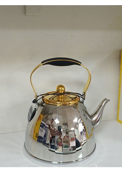 Gri paslanmaz çaydanlık, şık ve dayanıklı tasarım, 3 L kapasite modelleri