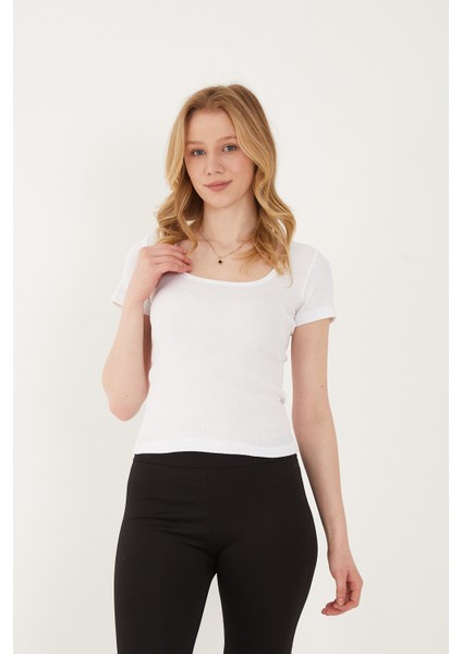 Kadın 3'lü Adet Kısa Kollu Fitilli U Yaka Pamuklu Örme Kaşkorse T-Shirt Bluz Body