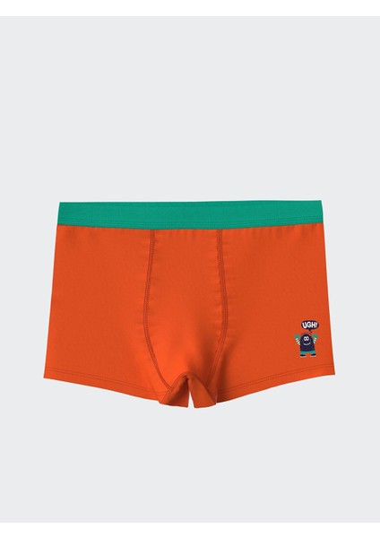 Lcw Kids Baskılı Erkek Çocuk Boxer 3'lü (S5) modelleri