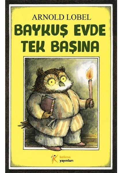 Baykuş Evde Tek Başına