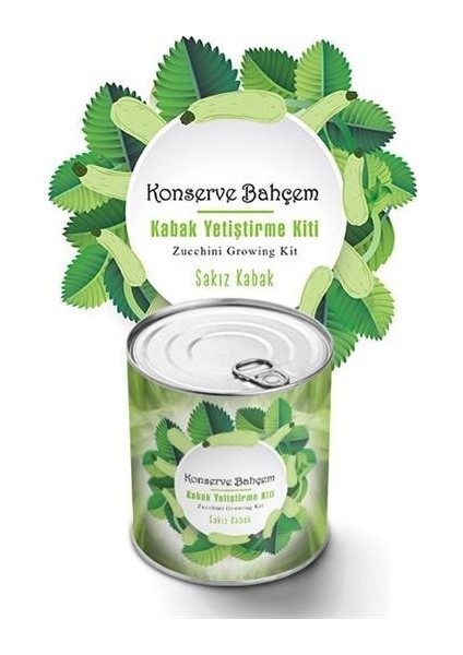Buffer® Konserve Bahçem Evde Konservede Sakız Kabak Yetiştirme Kiti