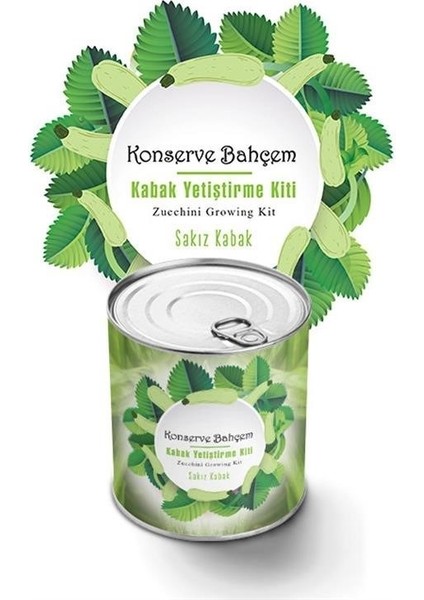 Buffer® Konserve Bahçem Evde Konservede Sakız Kabak Yetiştirme Kiti