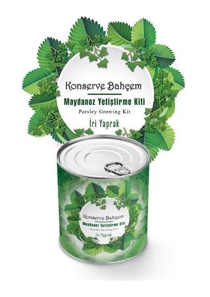 Buffer® Konserve Bahçem Evde Konservede Iri Maydanoz Yetiştirme Kiti