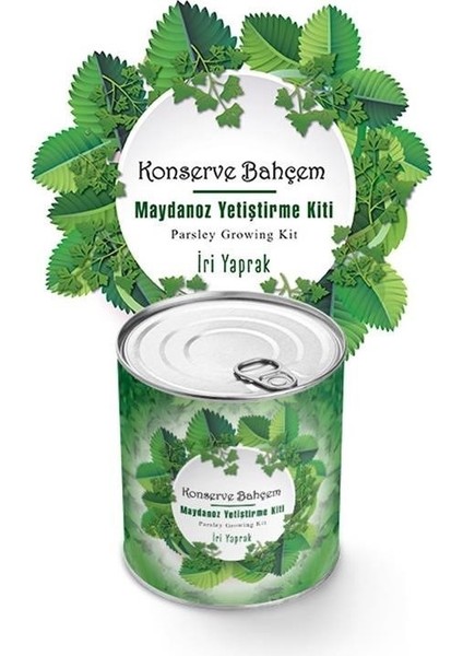 Buffer® Konserve Bahçem Evde Konservede Iri Maydanoz Yetiştirme Kiti