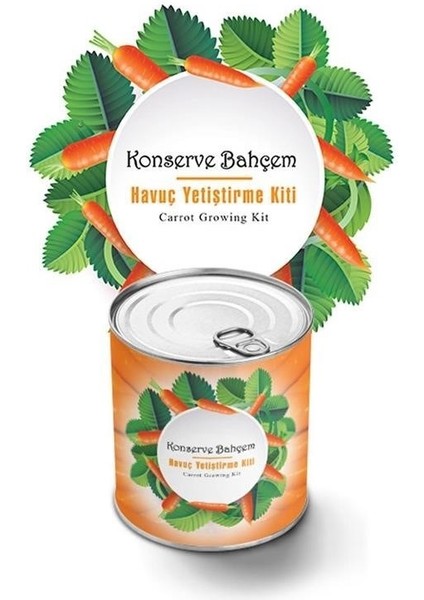 Buffer® Konserve Bahçem Evde Konservede Havuç Yetiştirme Büyütme Kiti