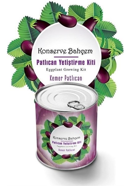 Buffer® Konserve Bahçem Evde Konservede Kemer Patlıcanyetiştirme Kiti