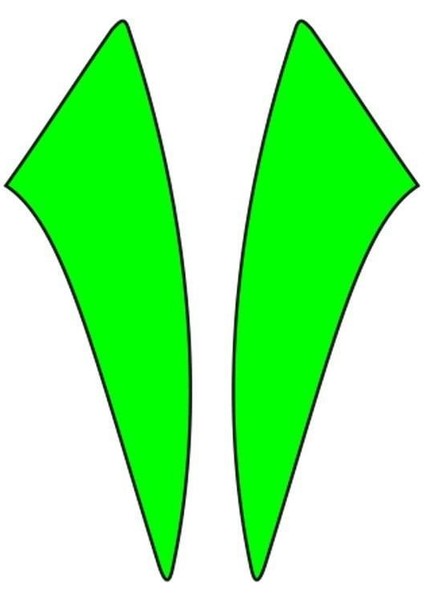 Cg Florasan Yeşil Çamurluk Yan Sticker