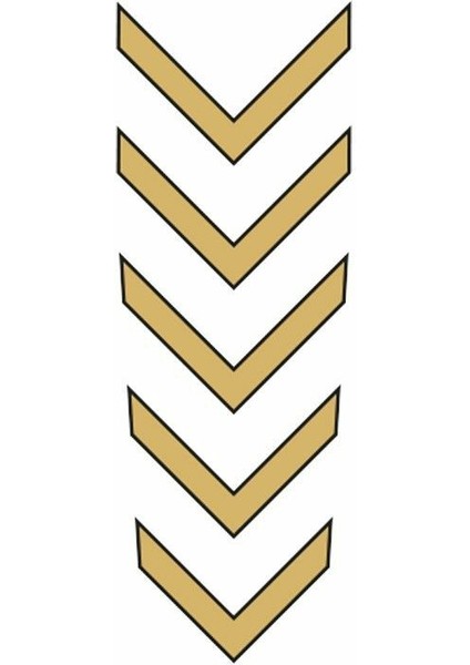 Cg Gold Çamurluk Üst Sticker