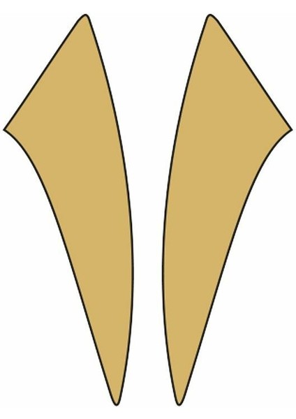 Cg Gold Çamurluk Yan Sticker