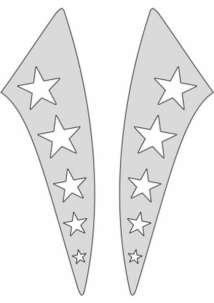 Cg Nikel Yıldızlı Çamurluk Yan Sticker