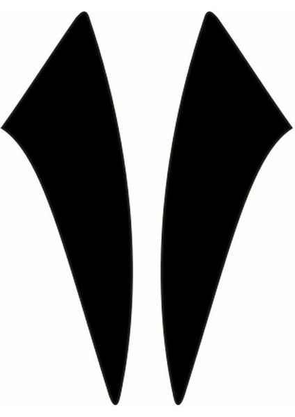 Cg Siyah Çamurluk Yan Sticker