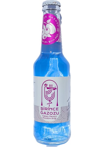 Genç Gazozluk (20 Farklı Klasik Gazoz 1 Kolide)