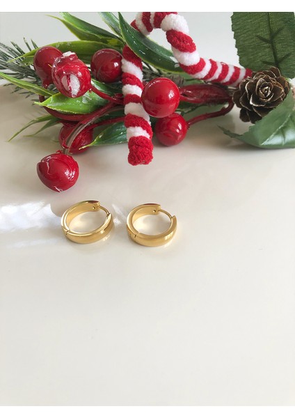 Günlük Gold Paslanmaz Çelik Kadın Halka Küpe fiyatları