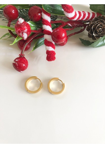 Günlük Gold Paslanmaz Çelik Kadın Halka Küpe modelleri