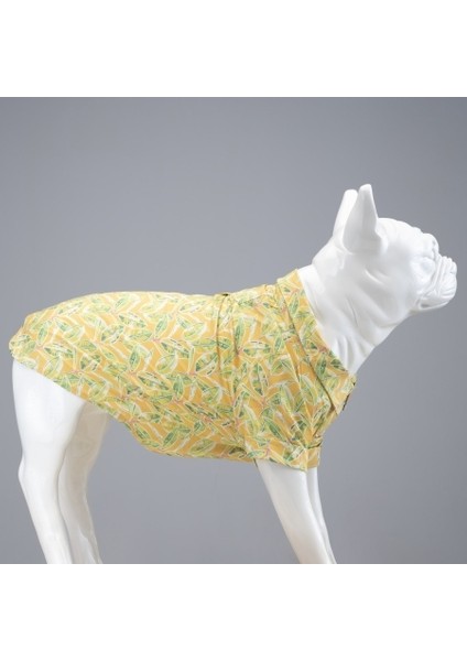 Cool Lime Küçük ve Orta Irk Köpek Gömleği