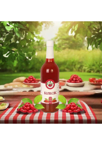 Kızılcık Suyu Şerbeti 750 ml
