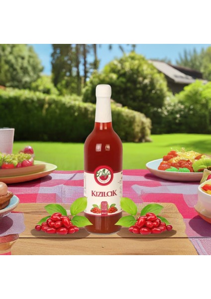 Kızılcık Suyu Şerbeti 750 ml
