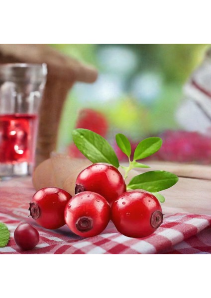Kızılcık Suyu Şerbeti 750 ml